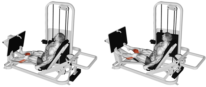 Leg Press Machine Calf raise