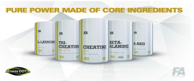 fa-fitness-authority-performance-series