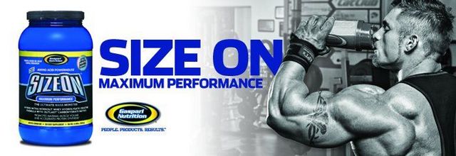 Gaspari_Size_On