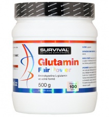 Survival Glutamin Fair Power 500 g