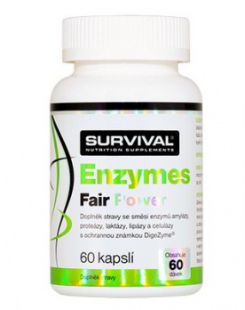 Survival Enzymes Fair Power 60 kapslí