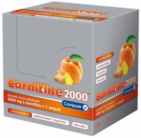 Wellness Food Carnitine 2000 25ml - meruňka se zázvorem PROŠLÉ DMT