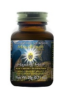HealthForce MacaForce Máta 20g