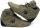 Gorilla Wear obuv Perry High Tops Army green
