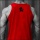 Universal Animal pánské tílko Iconic Tank Top červená