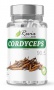 Revix Cordyceps 90 kapslí