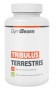 GymBeam Tribulus Terrestris 120 tablet