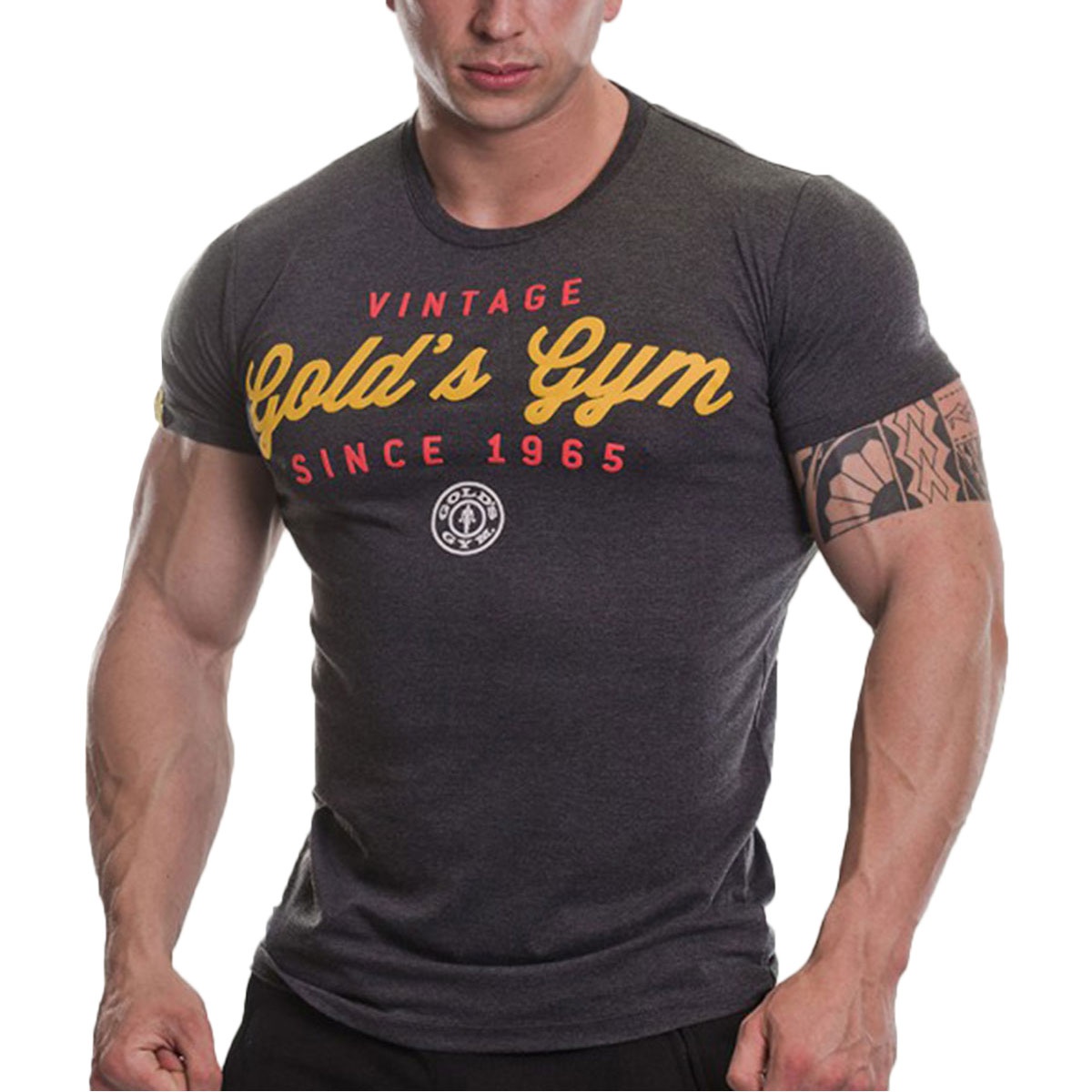 Levně Golds Gym Gold's Gym pánské tričko Vintage GGTS067 šedočerná - S