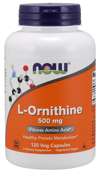 Levně Now Foods L-Ornithine 500 mg 120 kapslí