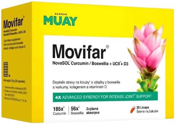 Namman Muay Movifar