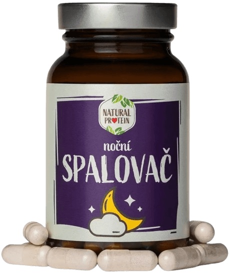 Natural Protein Noční spalovač 60 kapslí
