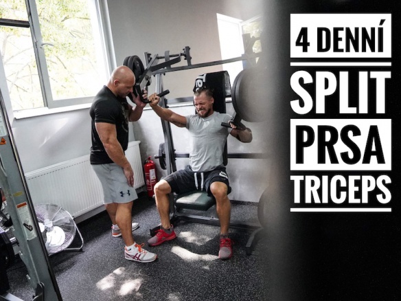 Trénink B | Nejlepší cviky na prsa a triceps. Trénink B | Nejlepší cviky na prsa a triceps.