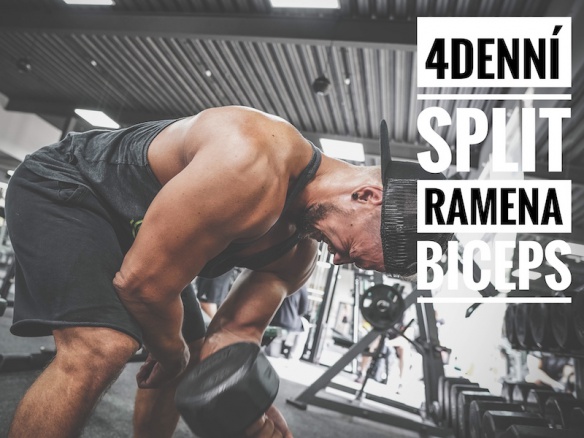 Trénink D | Nejlepší cviky na ramena a biceps. Trénink D | Nejlepší cviky na ramena a biceps.