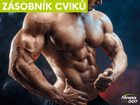 Zásobník cviků na prsa. Velikost, objem a síla. Nejlepší cviky na prsa. Zásobník cviků na prsa. Velikost, objem a síla. Nejlepší cviky na prsa.