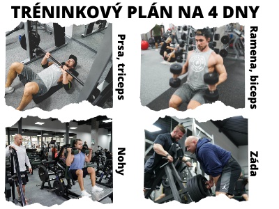 Jak si sestavit tréninkový plán? Cvičení pro zpevnění těla, budování svalové hmoty a síly. Jak si sestavit tréninkový plán? Cvičení pro zpevnění těla, budování svalové hmoty a síly.