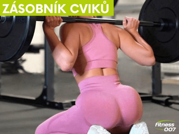Zásobník cviků na zadek. Nejlepší cviky pro pevný a kulatý zadek. Top 10 cviků. Zásobník cviků na zadek. Nejlepší cviky pro pevný a kulatý zadek. Top 10 cviků.