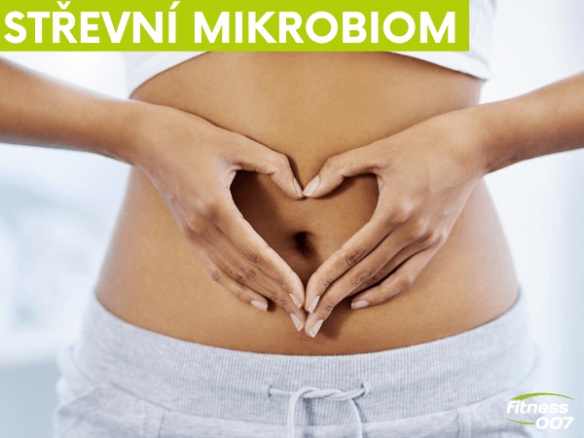 Čím nakrmit střevní mikrobiom? Jak se podepisuje psychika na našem trávení? Čím nakrmit střevní mikrobiom? Jak se podepisuje psychika na našem trávení?