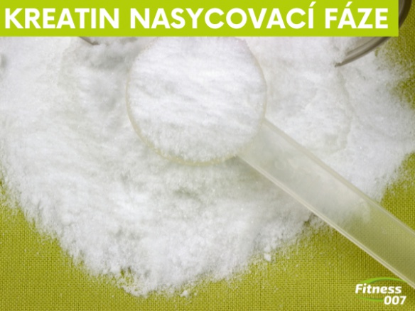 Kreatin: má smysl nasycovací fáze? Kreatin: má smysl nasycovací fáze?