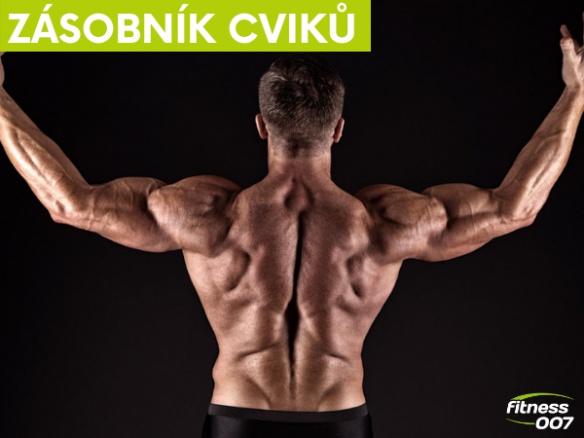 Jaké jsou nejlepší cviky na záda: Máme pro vás 5 tipů Jaké jsou nejlepší cviky na záda: Máme pro vás 5 tipů