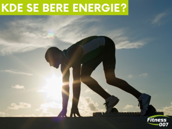 Energetický metabolismus – odkud se bere energie při sportovním výkonu?